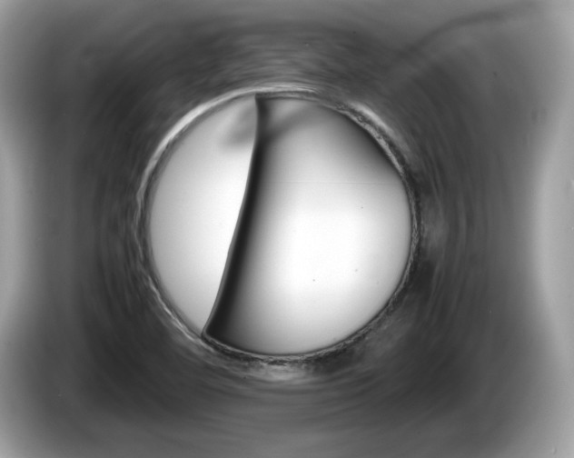 X0000086231460200703290933