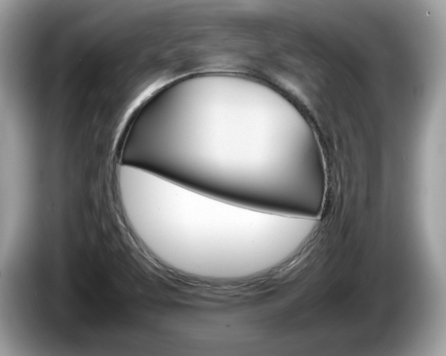X0000086231463200703290933