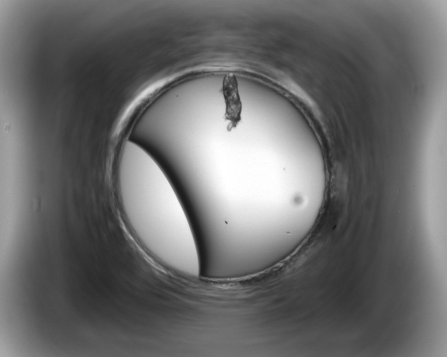 X0000086231464200703290933