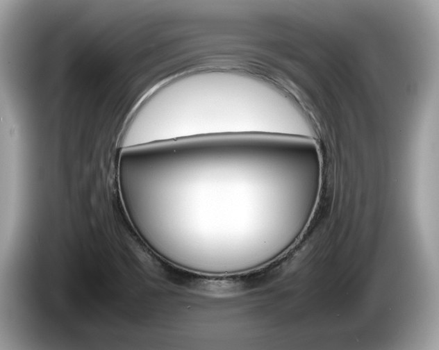 X0000086231465200703290933
