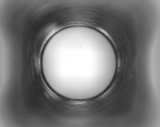 X0000086231466200703290933