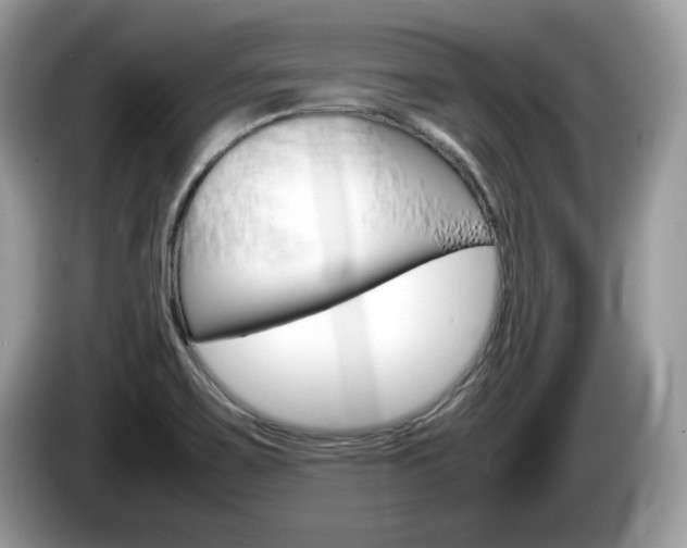 X0000086231467200703290933