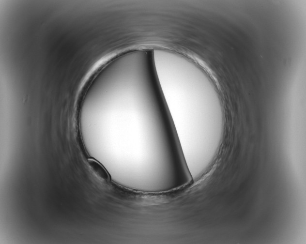 X0000086231469200703290933