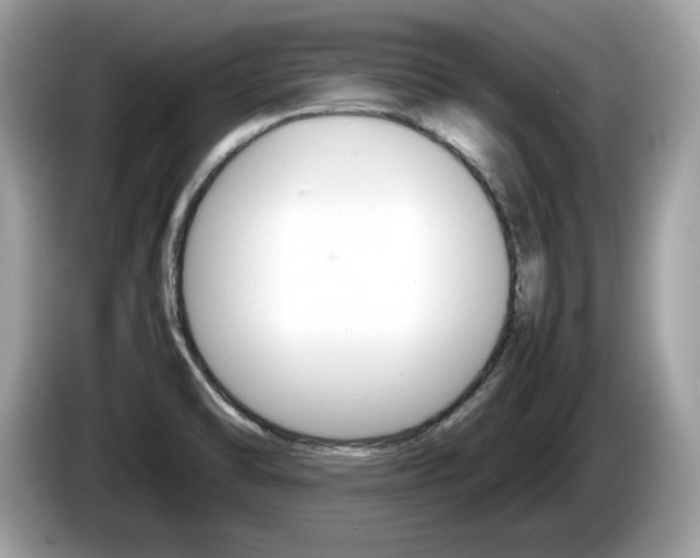 X0000086231470200703290933