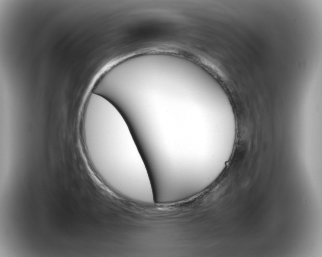 X0000086231471200703290933