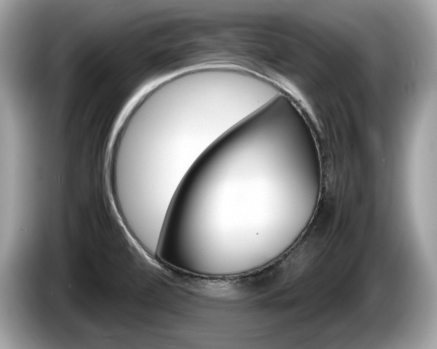 X0000086231472200703290933