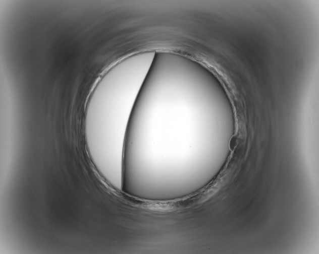 X0000086231473200703290933