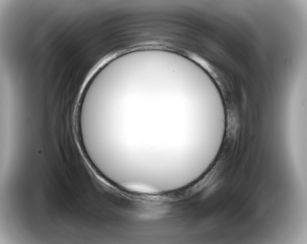 X0000086231474200703290933