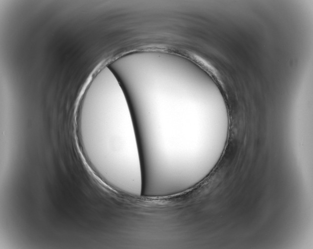 X0000086231475200703290933