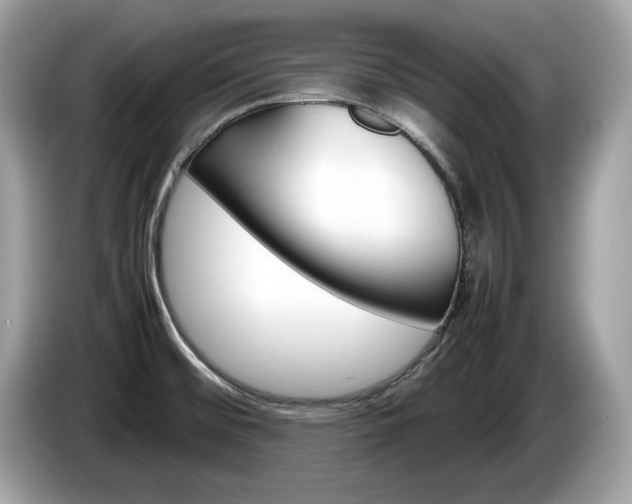 X0000086231476200703290933
