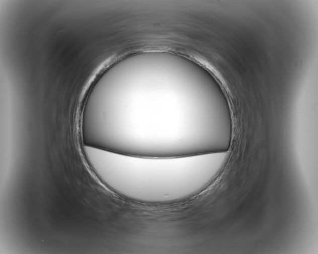 X0000086231477200703290933