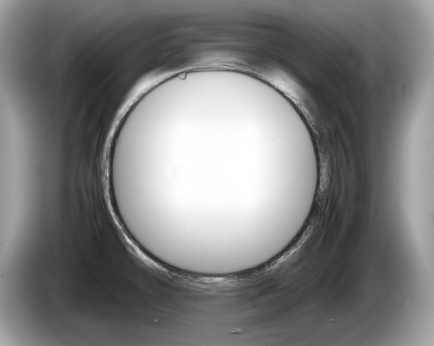 X0000086231478200703290933