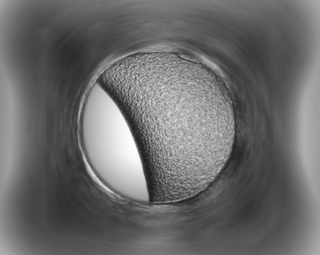 X0000086231479200703290933