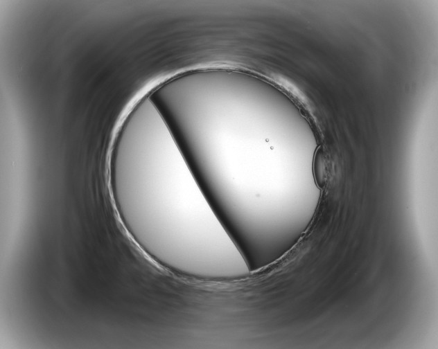 X0000086231480200703290933