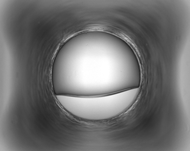 X0000086231481200703290933