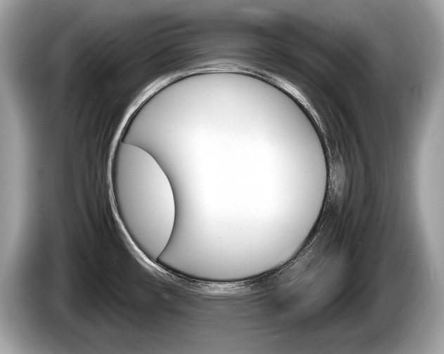 X0000086231482200703290933