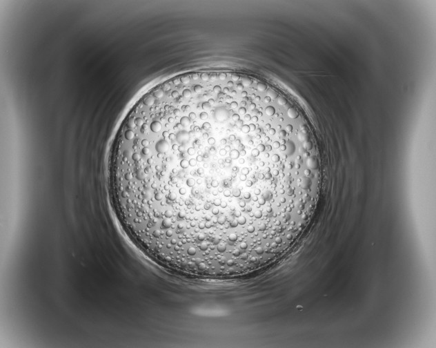 X0000086231483200703290933