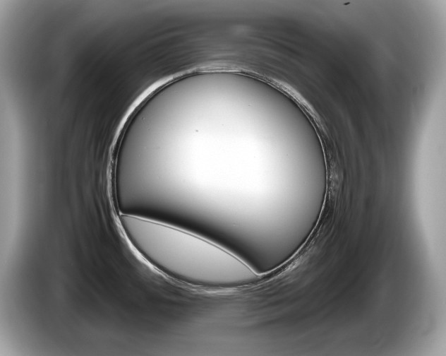 X0000086231484200703290933