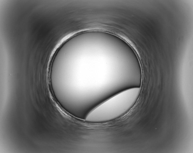 X0000086231485200703290933