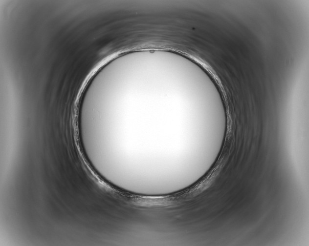 X0000086231486200703290933