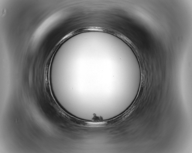 X0000086231487200703290933