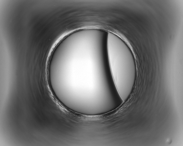 X0000086231488200703290933