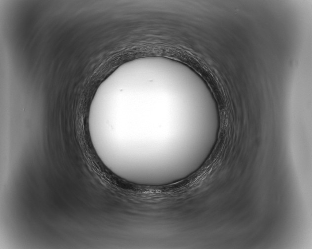 X0000086231489200703290932