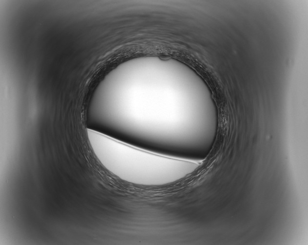 X0000086231490200703290932