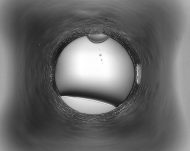X0000086231491200703290932