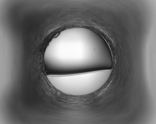 X0000086231494200703290932