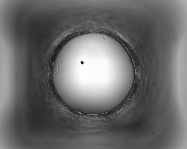 X0000086231495200703290932
