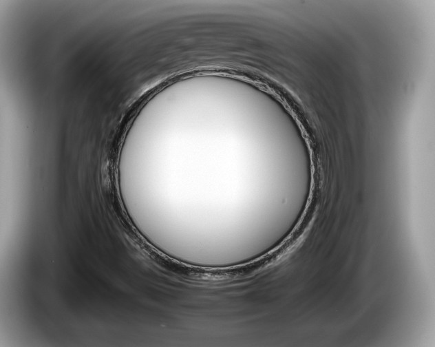 X0000086231497200703290932