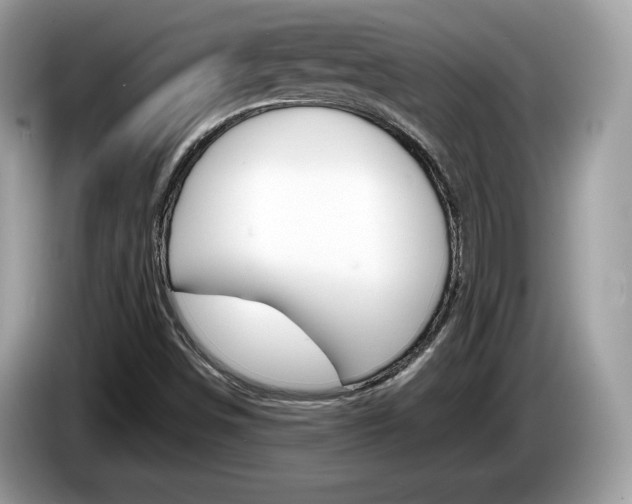 X0000086231498200703290932