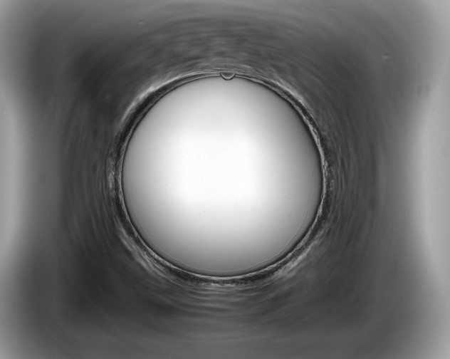 X0000086231499200703290932