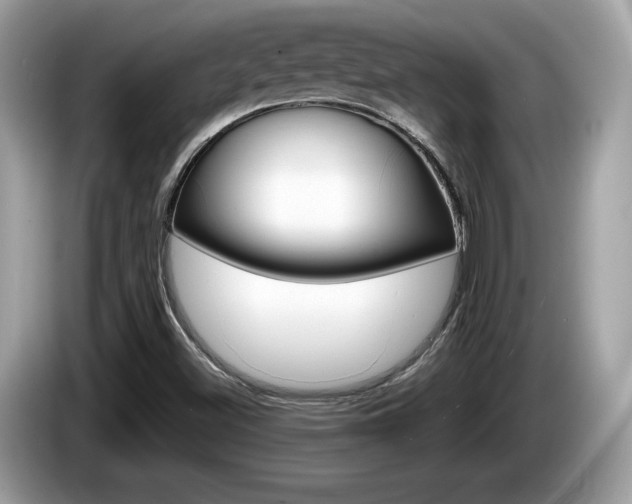 X0000086231500200703290932