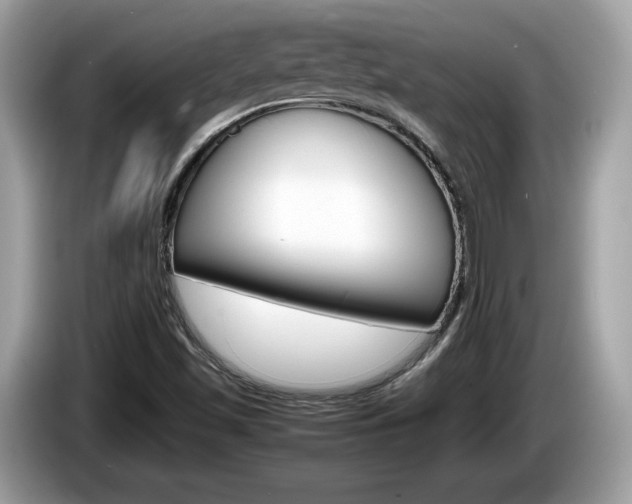 X0000086231501200703290932