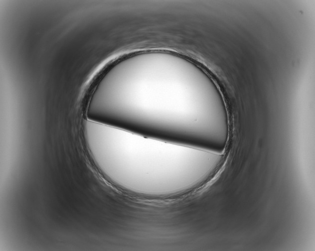 X0000086231502200703290932