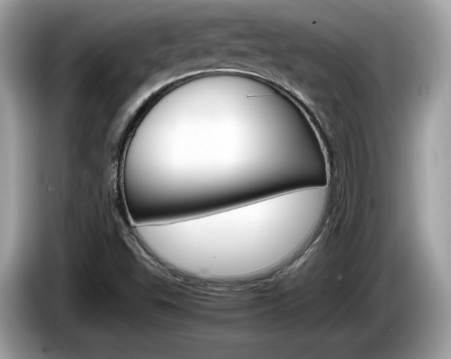 X0000086231503200703290932