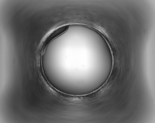 X0000086231504200703290932