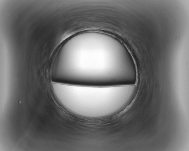 X0000086231505200703290932