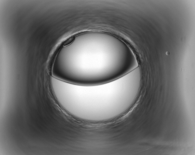 X0000086231506200703290932