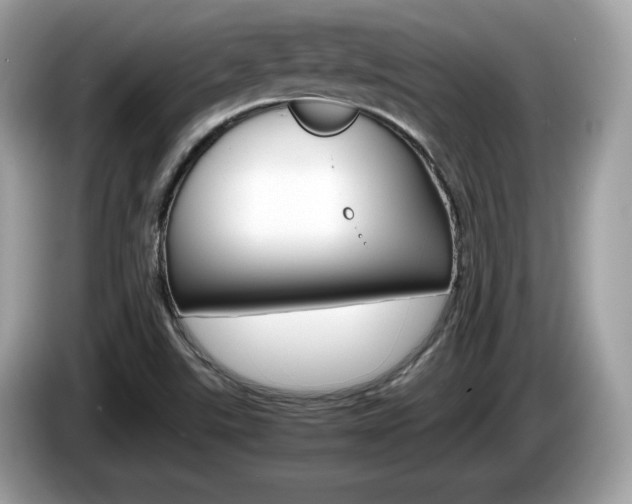 X0000086231507200703290932