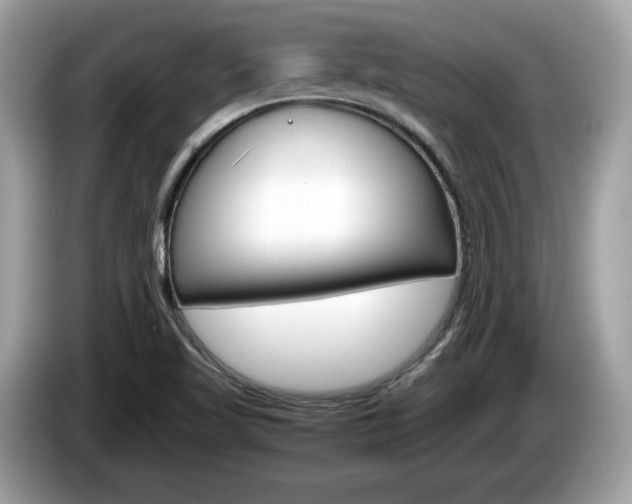 X0000086231509200703290932