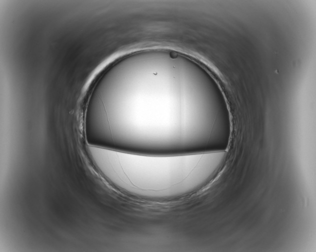 X0000086231510200703290932