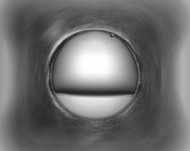X0000086231511200703290932