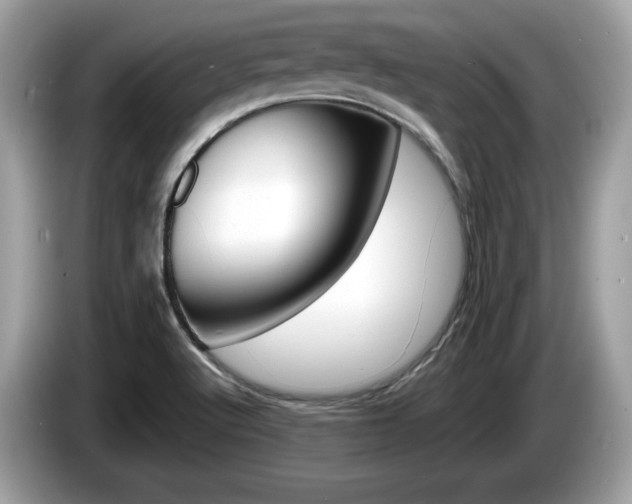 X0000086231512200703290932