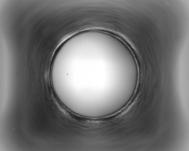 X0000086231513200703290932