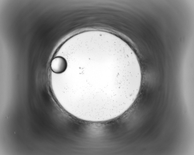 X0000086231514200703290932
