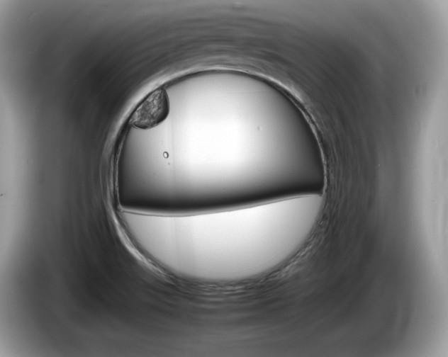 X0000086231515200703290932