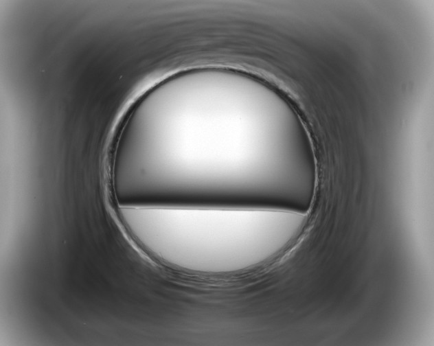 X0000086231517200703290932